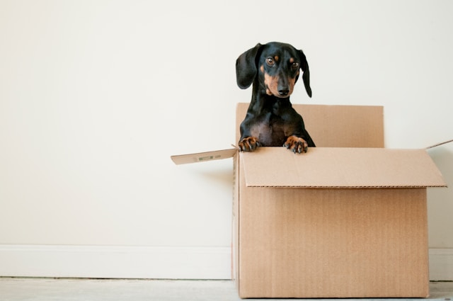Box